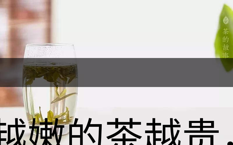 越嫩的茶越貴，但越貴的茶就越好嗎？-2