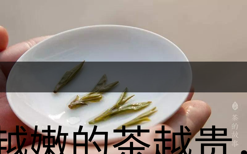越嫩的茶越貴，但越貴的茶就越好嗎？-3
