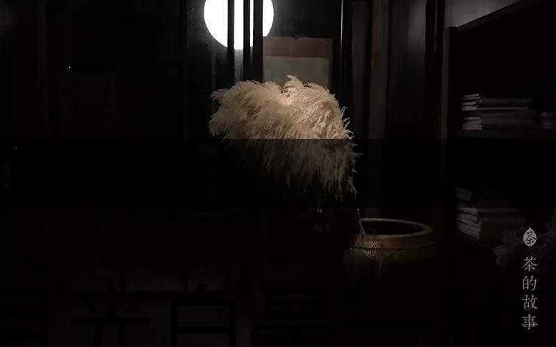 月光白是一種什么茶？