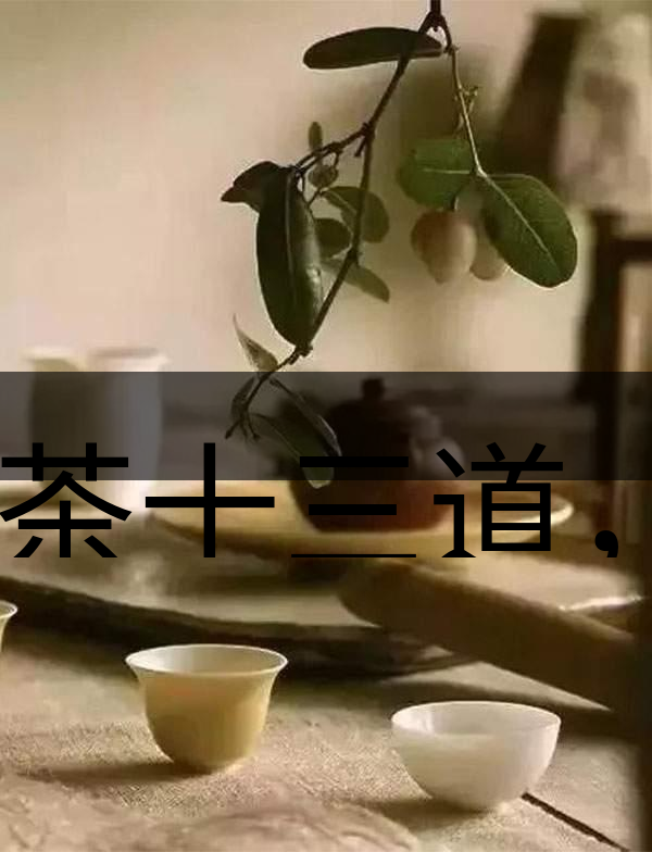 喝茶十三道，道道皆精華！-2