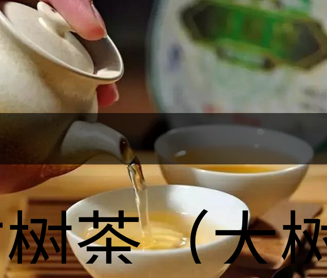 古樹茶（大樹茶）葉底特征辨別-1-1