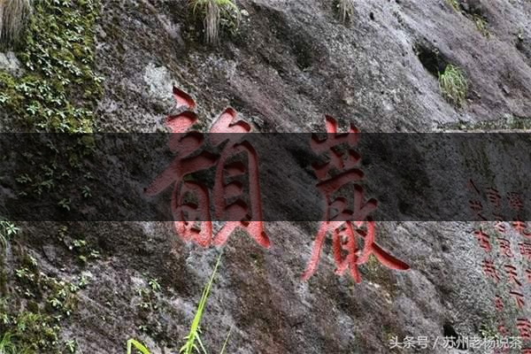 老楊說茶：武夷尋茶之三：巖茶巖韻形成的四-2-1