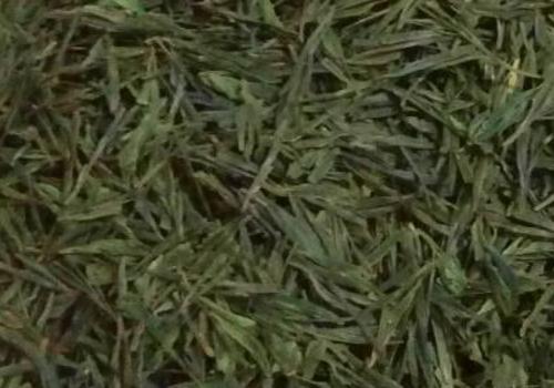 什么是海青茶？沖泡手法詳細(xì)教學(xué)！
