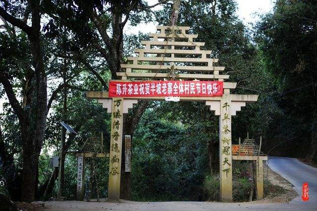 2021年南糯山半坡老寨古樹秋茶價格？