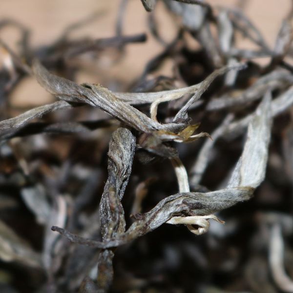 2021年帕沙古樹秋茶，你了解多少？
