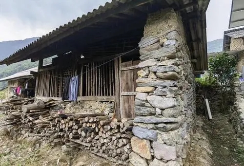 2022年景谷黃草壩古樹春茶特點(diǎn)是什么？