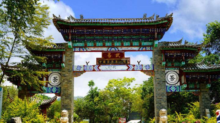 2022年易武正山在哪？易武正山是什么意思？