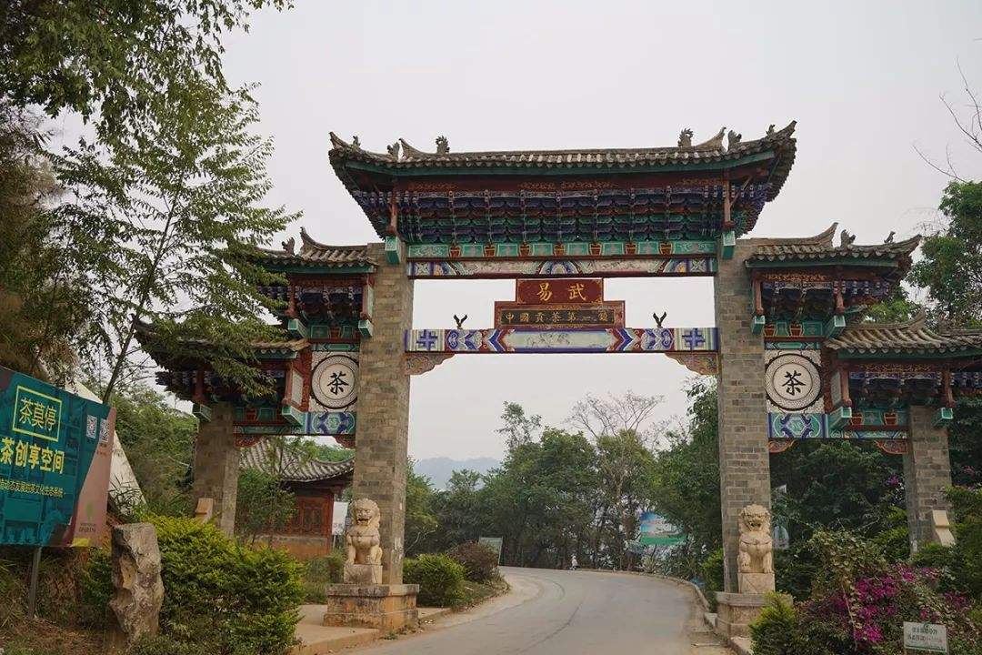 2022年易武正山古樹春茶特點(diǎn)？