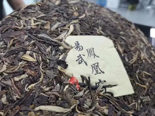 2022年鳳凰窩古樹(shù)高桿，鳳凰筑巢的地方