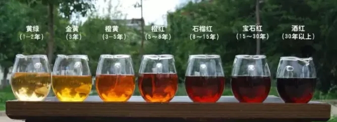 2022年普洱茶的茶湯湯色要怎么描述？