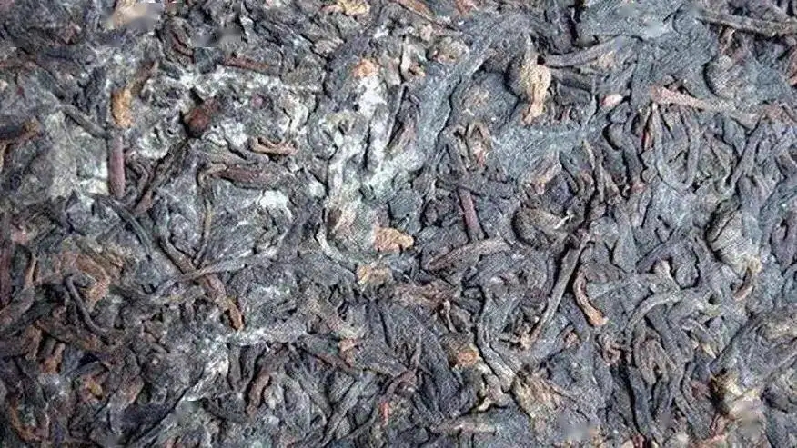 普洱茶怎么樣才算發(fā)霉？