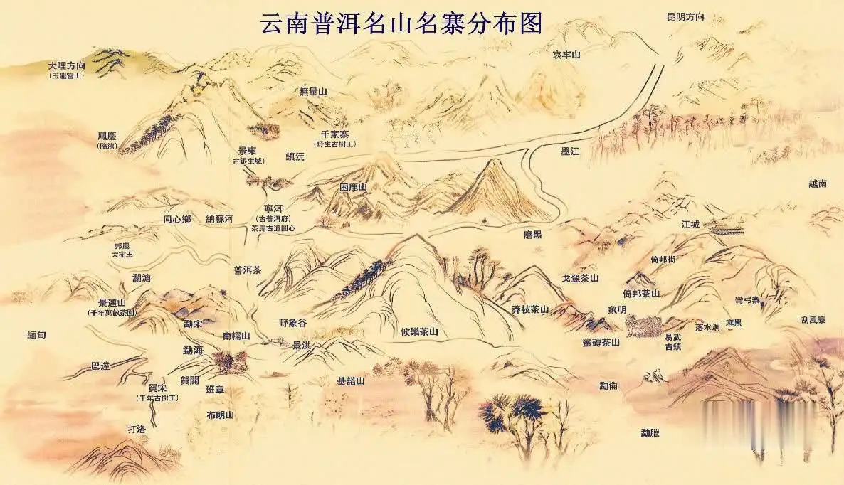 普洱茶怎么分山頭？