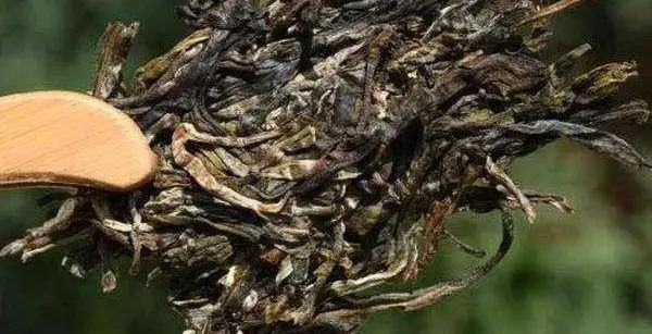 不同普洱茶生產(chǎn)地味道有哪些不同，不同派別的普洱茶味道又如何?