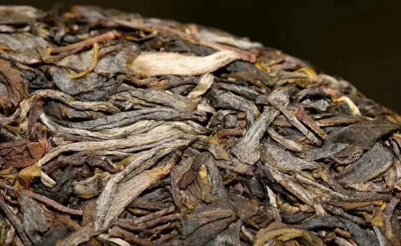 別瞎扯普洱茶的“霸氣”！偽大師！