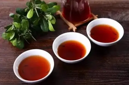 新人如何喝普洱茶？