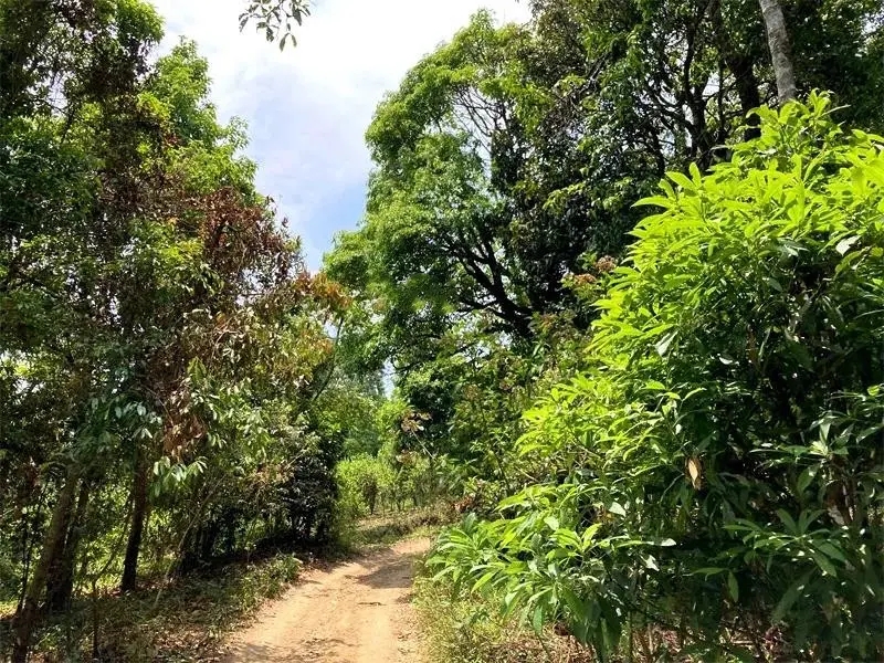 茶山紀(jì)實(shí)：犀牛塘，最近能火是有原因的