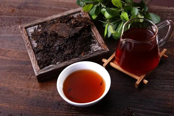 如何掌握好茶性，泡出一杯好喝的普洱熟茶？