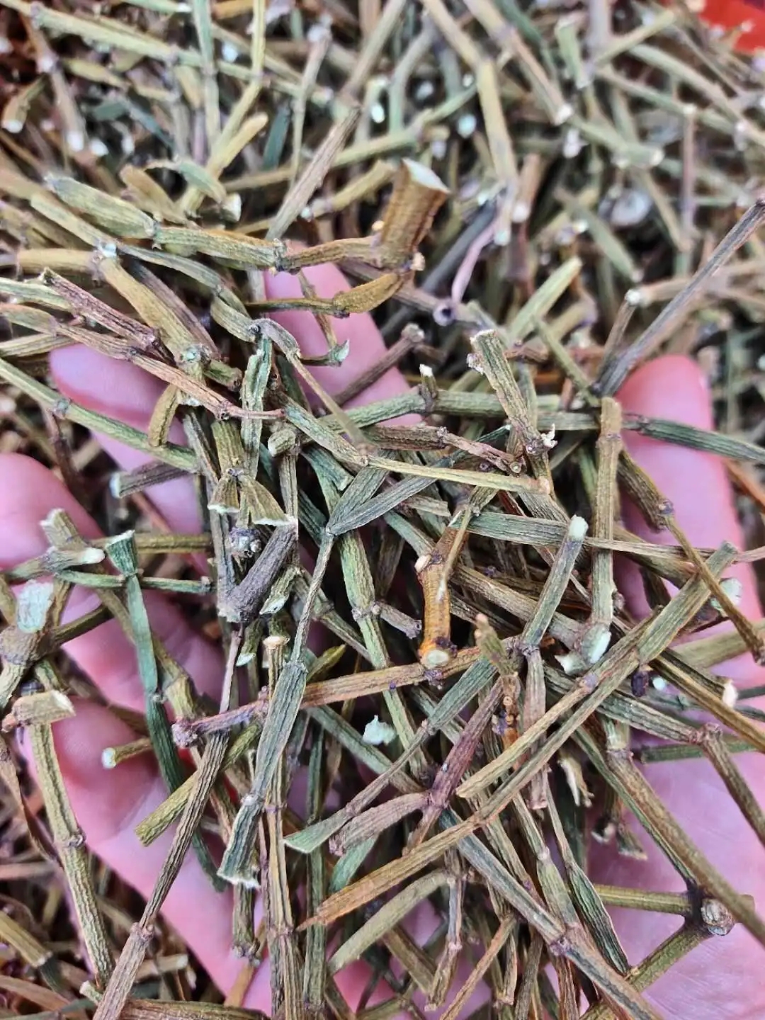 干貨 | 什么是茶界的螃蟹腳？