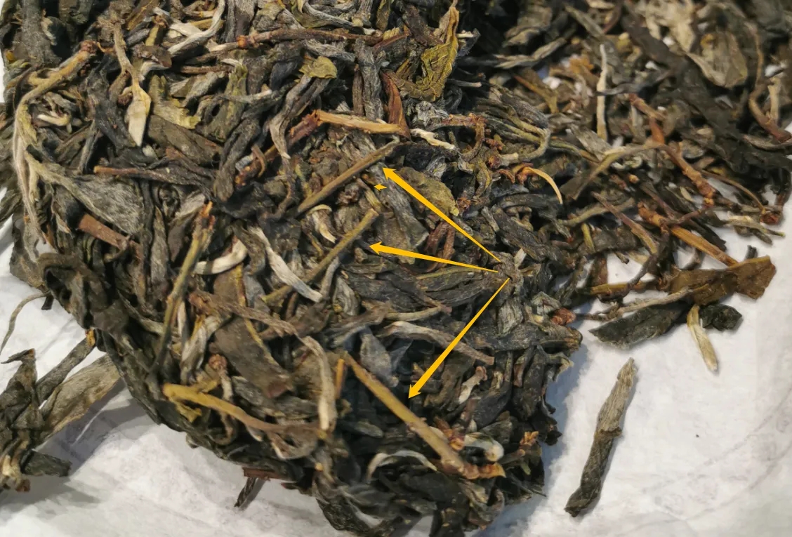 普洱茶的葉底有茶梗，就是茶不好嗎？