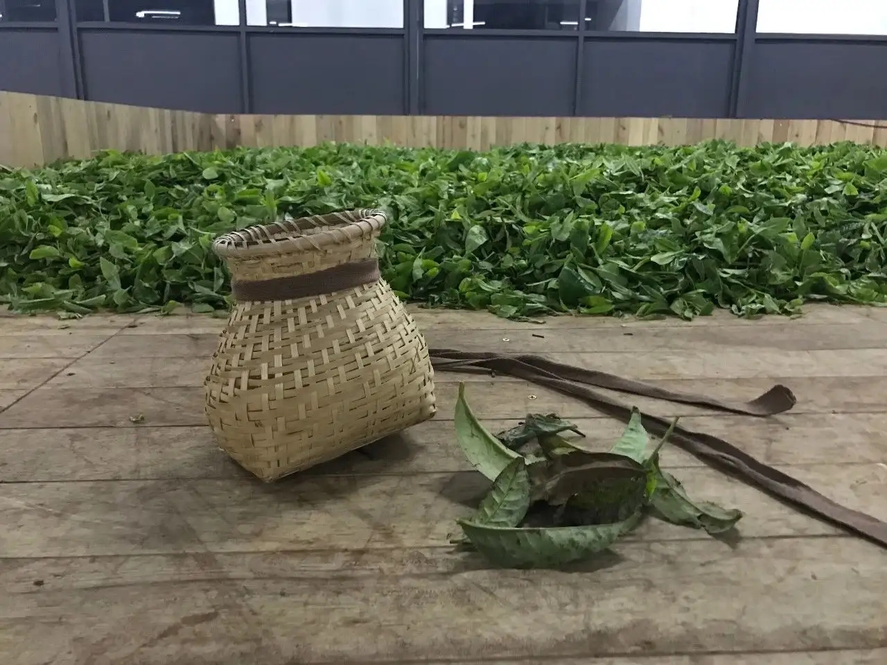 普洱茶，如果不談山頭，我們談什么？