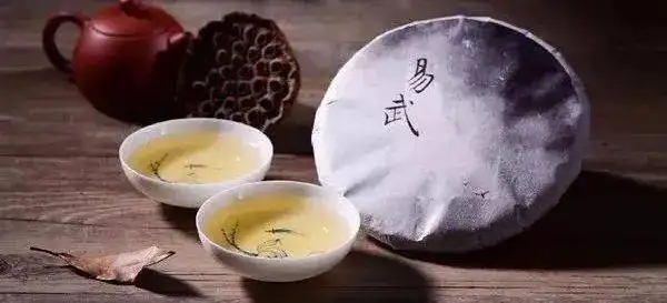 體驗古樹普洱之美妙茶氣