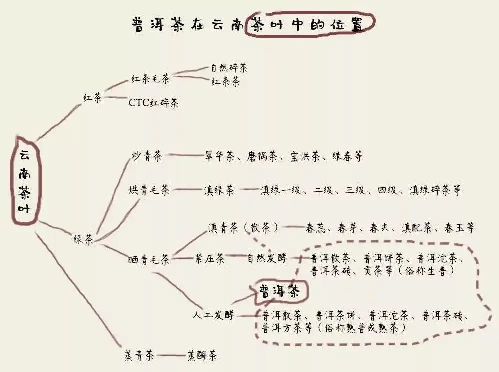 朱元璋“罷造龍團”，散茶崛起，普洱茶特立獨行！