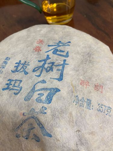 2023年拔瑪老寨古樹春茶口感如何？