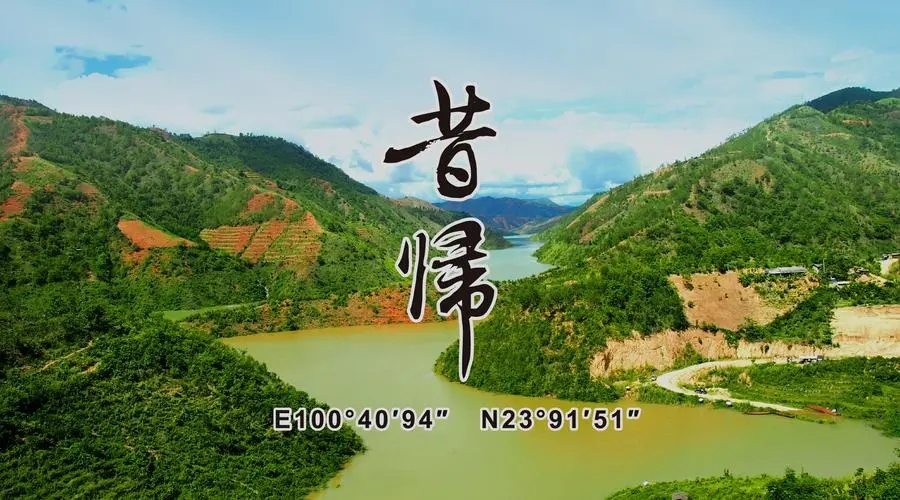 2023年昔歸古樹春茶品質如何？