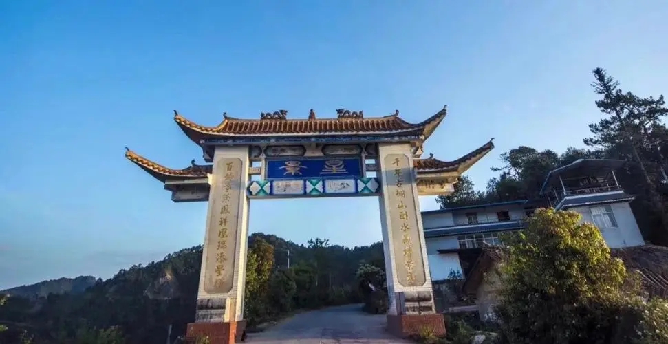 2024年墨江鳳凰窩古樹春茶特點(diǎn)是什么？