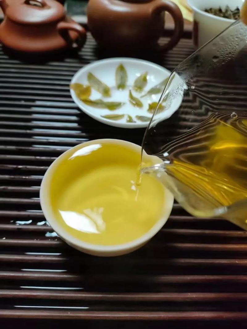 倚邦貢茶，甘甜醇柔